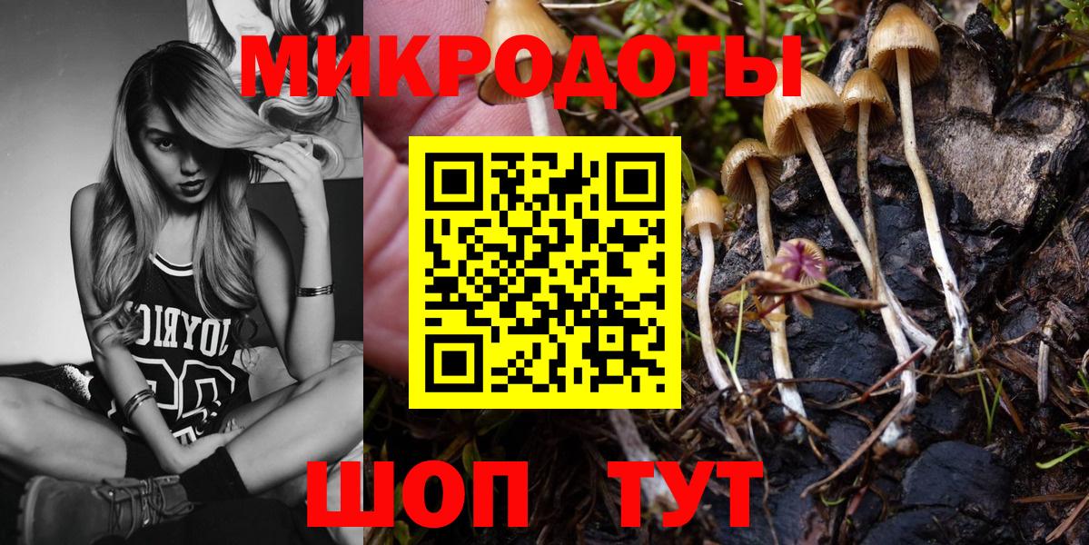 Псилоцибиновые грибы GOLDEN TEACHER Кимовск