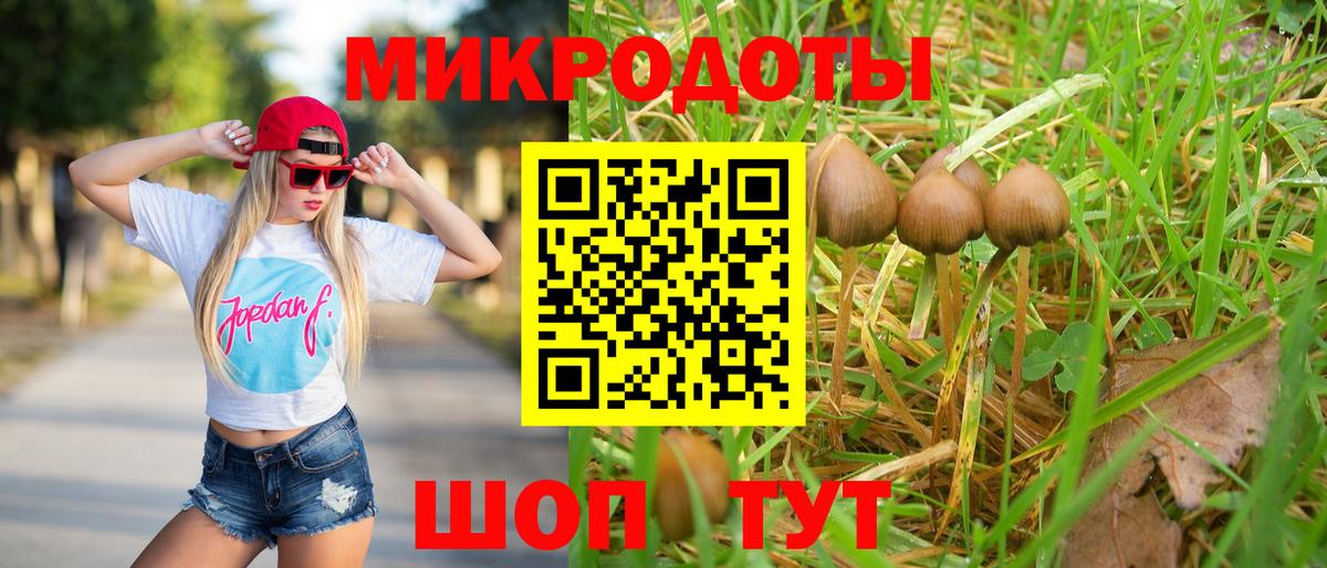 Кимовск  Псилоцибиновые грибы GOLDEN TEACHER  Галлюциногенные грибы Psilocybe  Вход с VPN 